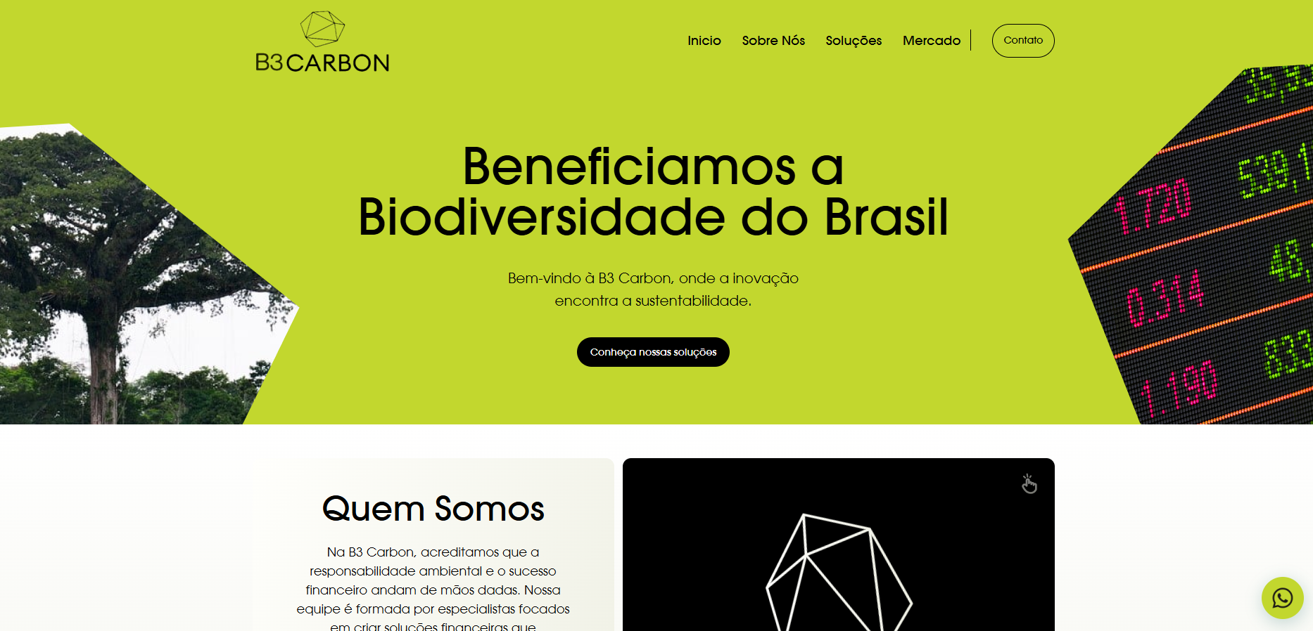 imagem do projeto B3 carbon